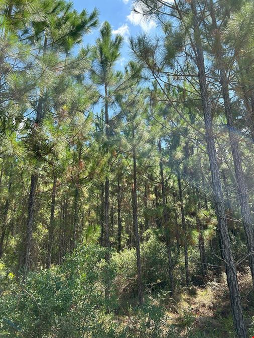 Dunn Creek Tract