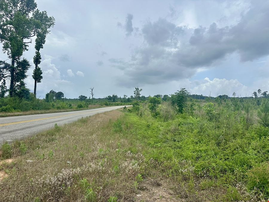 The Turner Tract
