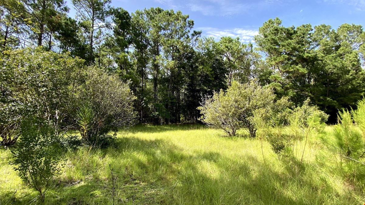 657 Ocean Hwy E., Bolivia NC - 3.9-acre Commercial Outparcel