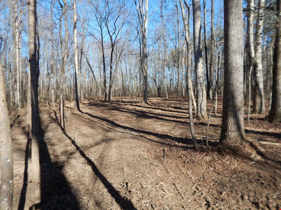 Lot 24 & 25 Sylvania Estates