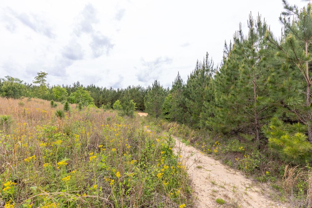 Buck Creek Hunting Property