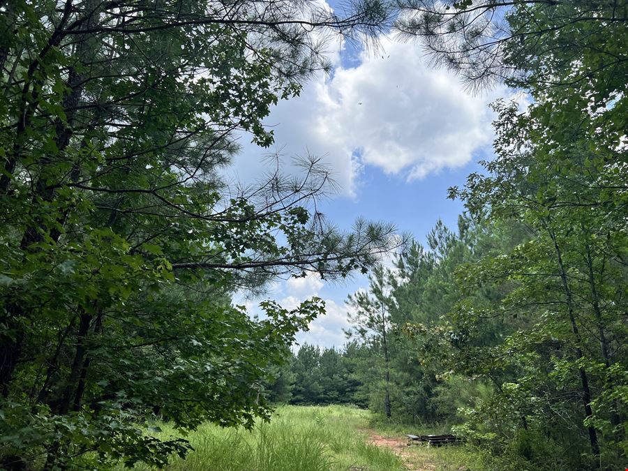 Woods Road Farm Tracts
