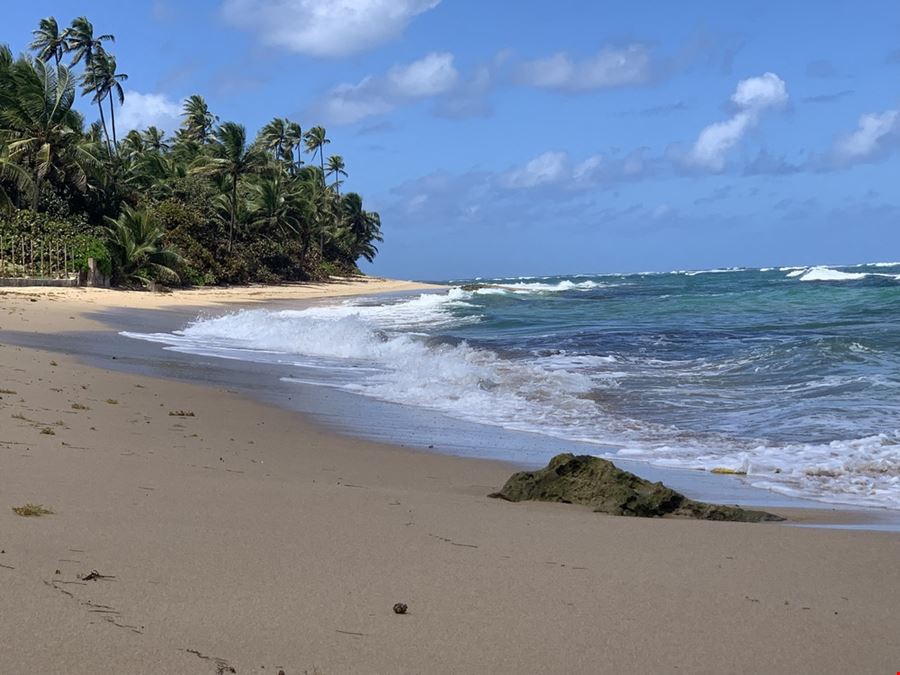 Redevelopment Opportunity in Cerro Gordo Beach