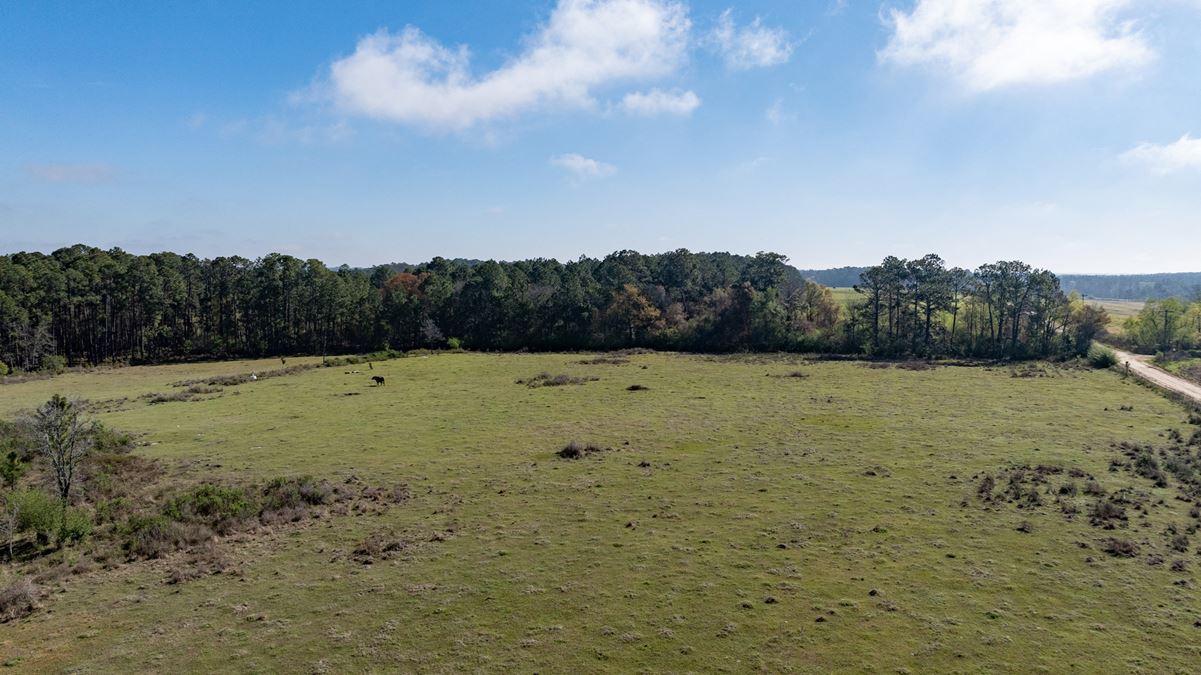 Lost Farm
