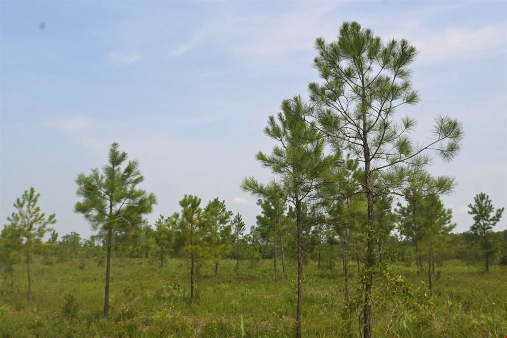 850 +/- Acres For Sale- Brunswick County, NC