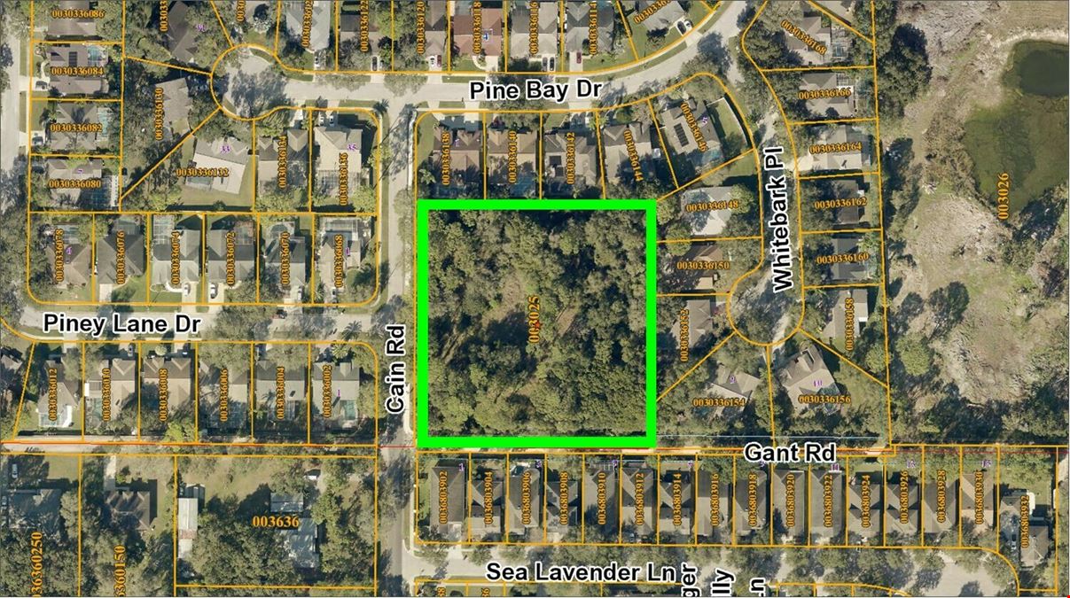 2.18 AC :: Residential land for development ::  Citrus Park/ Carrollwood