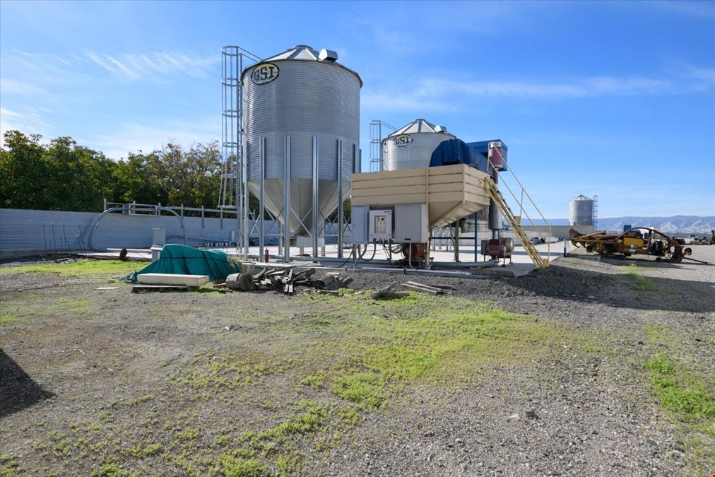 Organic Walnut Orchard & Processing Facility