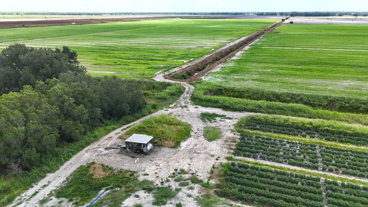 West Wauchula Farm