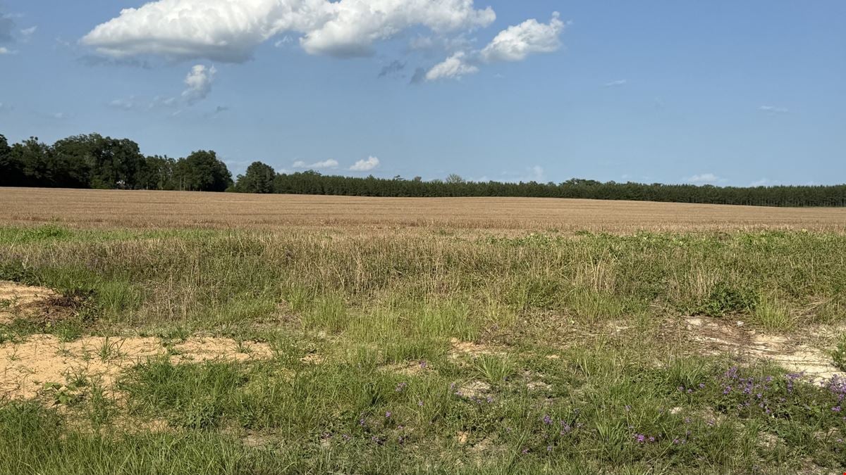 Hwy 71 & Mission Road 10 Acre Tracts