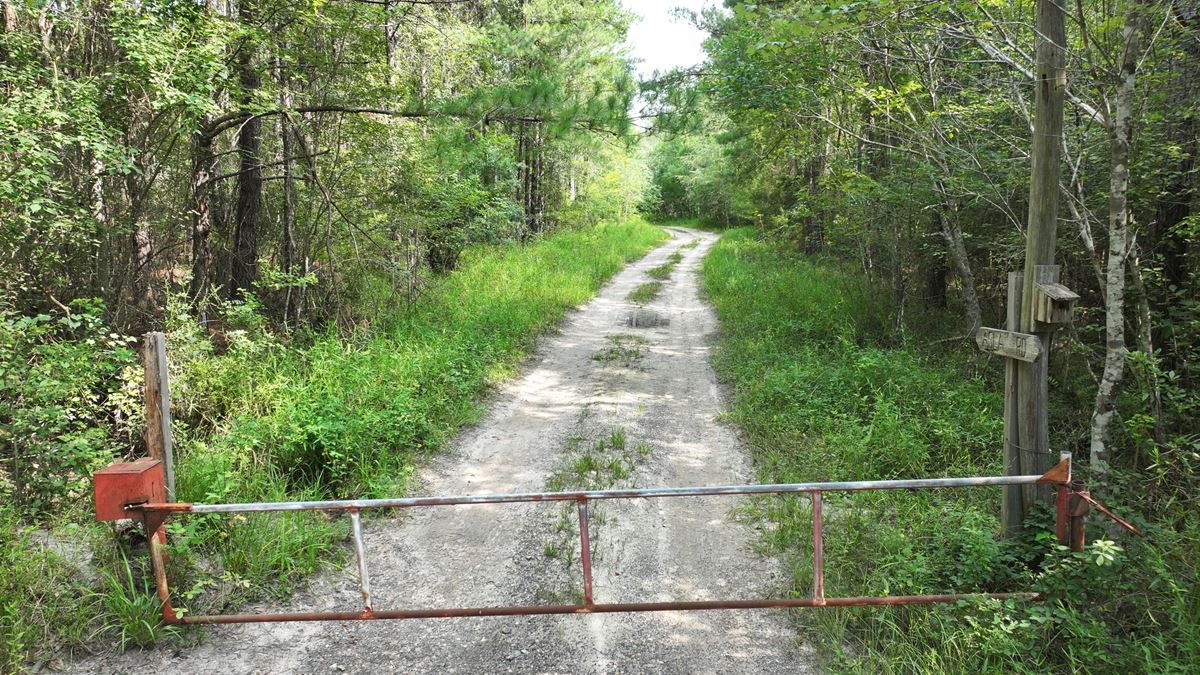 Satilla River Bottom Timberlands