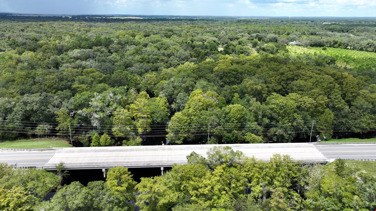 Hernando County 275 ± Acres