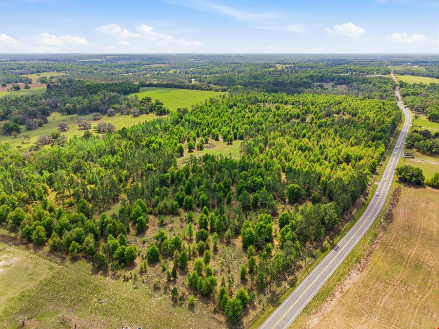 Spring Lake Reserve Ranch