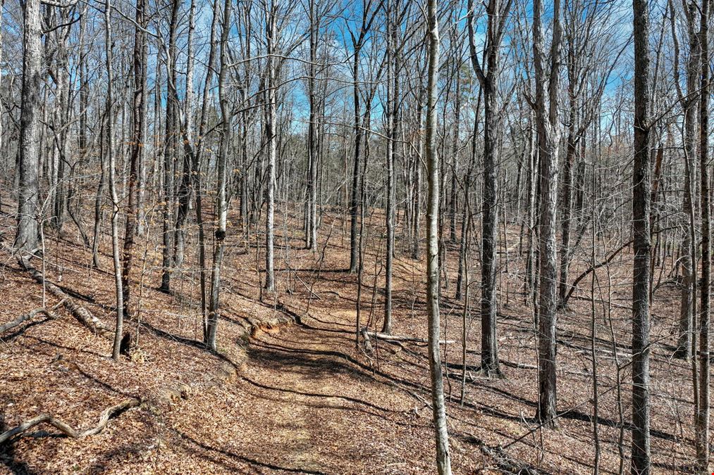 36+/- ACRES FOR SALE, HALL COUNTY