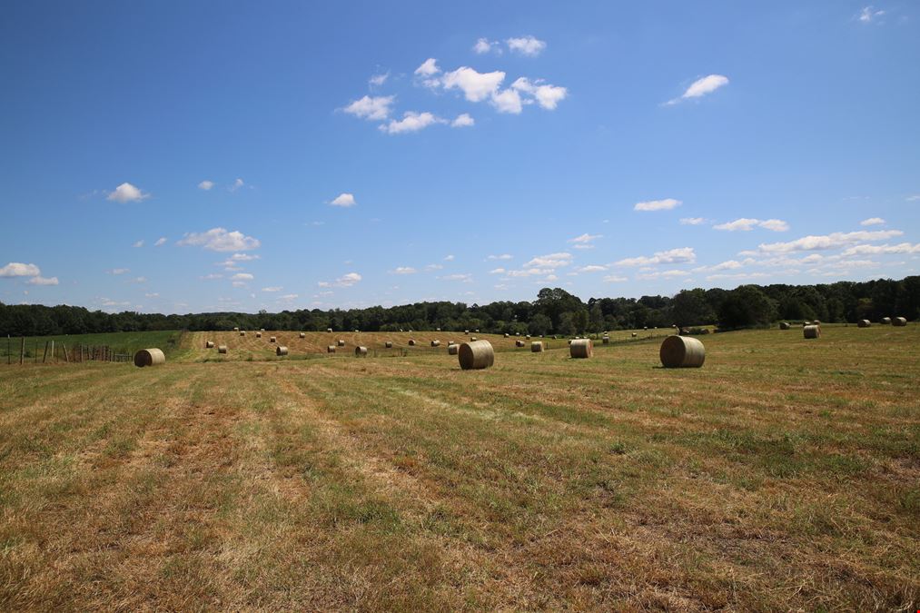 Moffitt 123 Acre Development Tract