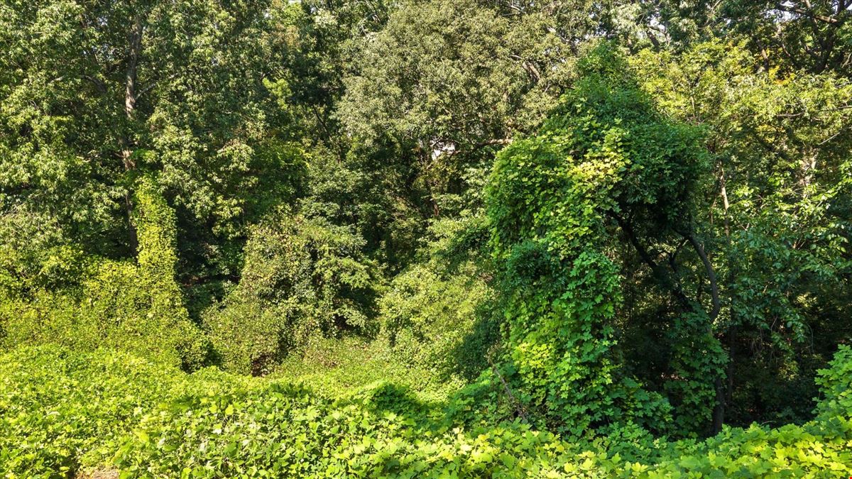4.07 ACRES | TRN-3 ZONING | CHATTANOOGA & LOOKOUT MOUNTAIN VIEWS