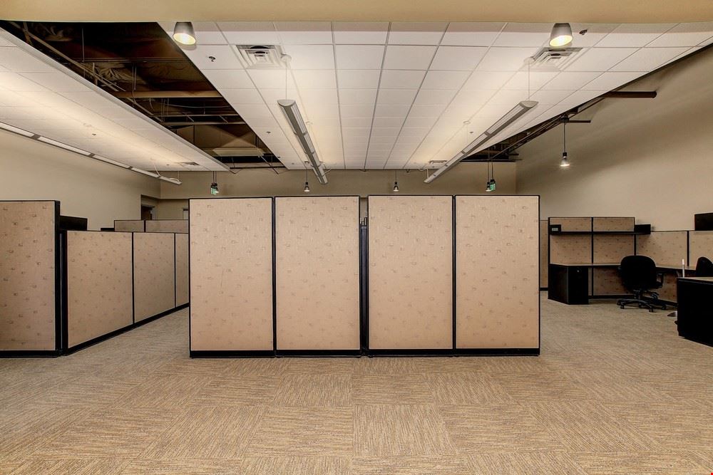New Creative Office