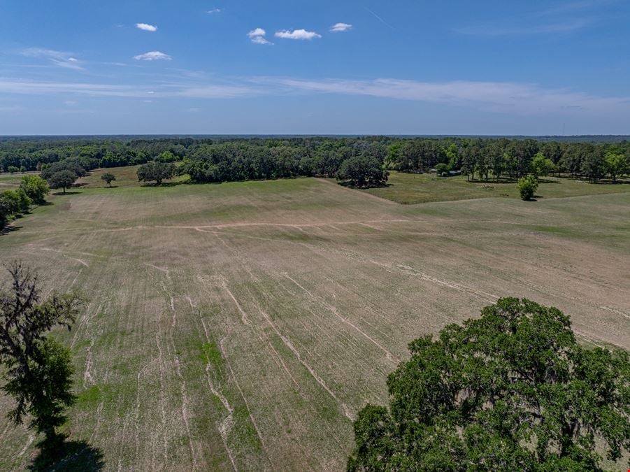 Alachua Transitional Acreage
