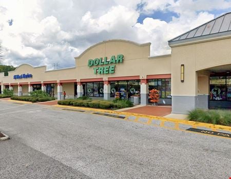 Preview of Retail space for Rent at 41232 US Hwy 19 N