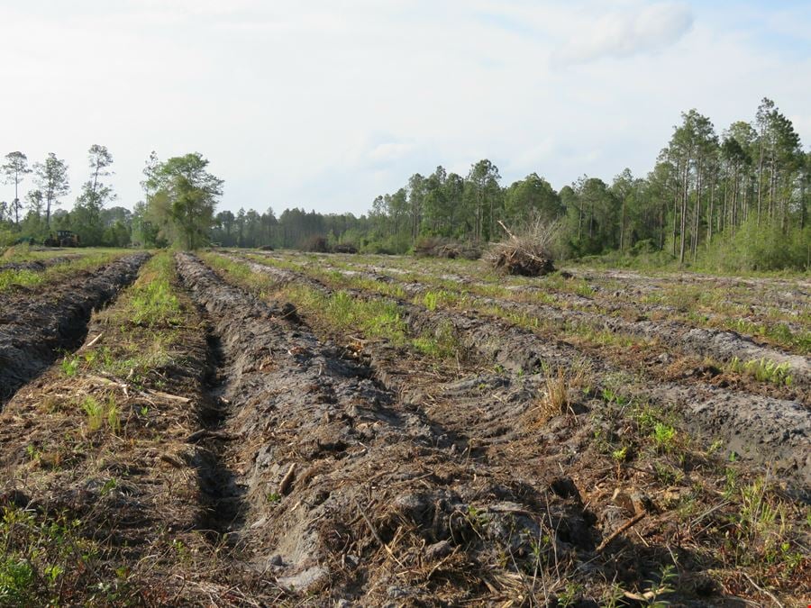 Smith Road Tract