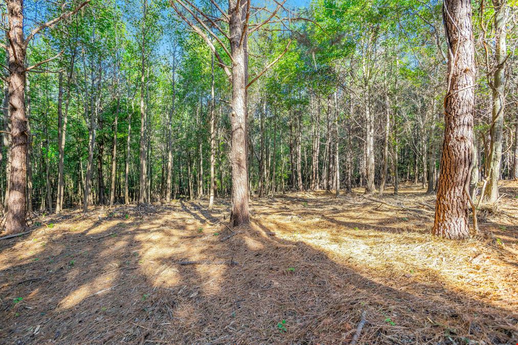 South Pine Farms Lot 19