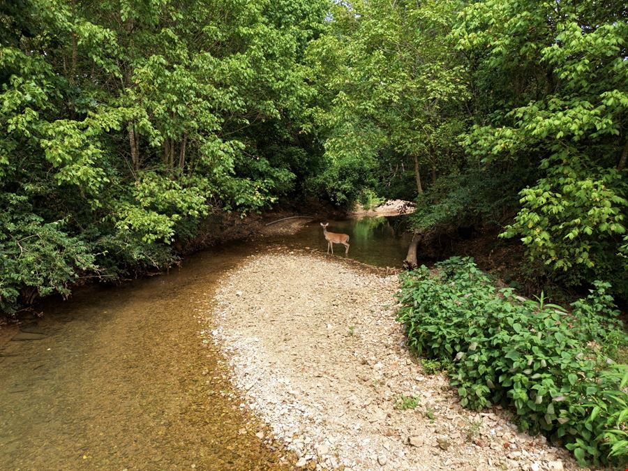 Puppy Creek Rd