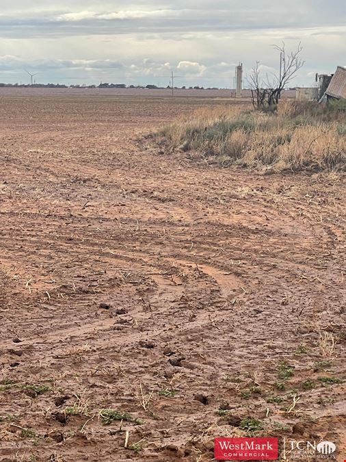 136.192 Acres Lubbock Co., TX 79416