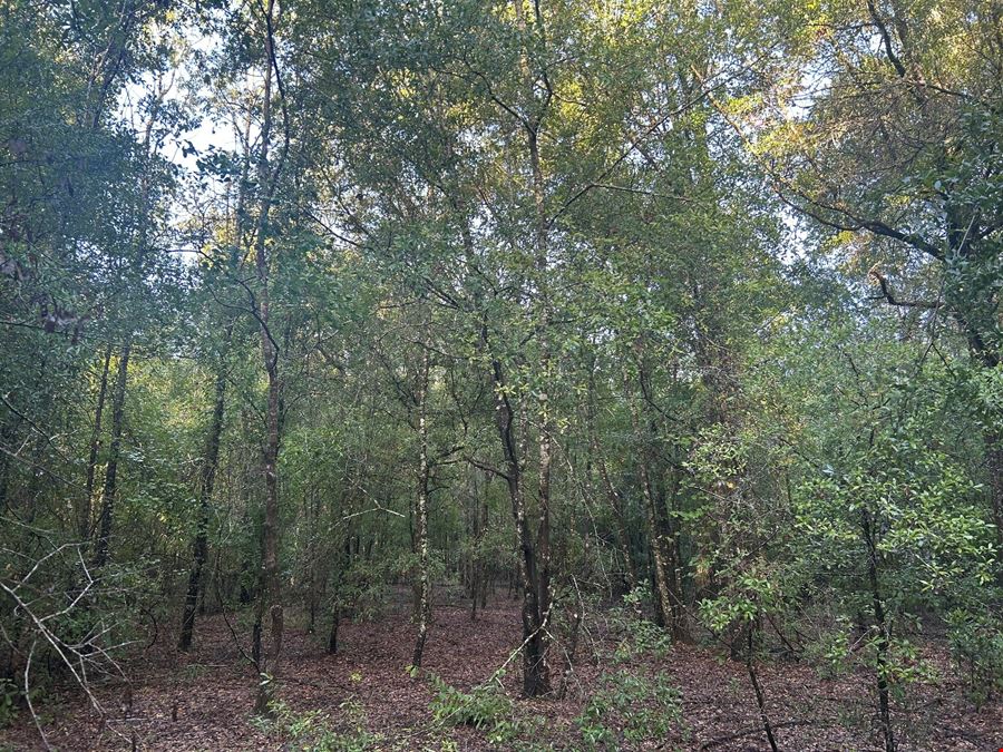 Fort White 58.7 Acres