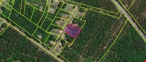 1/2+ AC MHP LAND HOME SALE CAPACITY OR WORKFORCE HOUSING BAMBERG COUNTY INCOME YIELD UTILIZATION