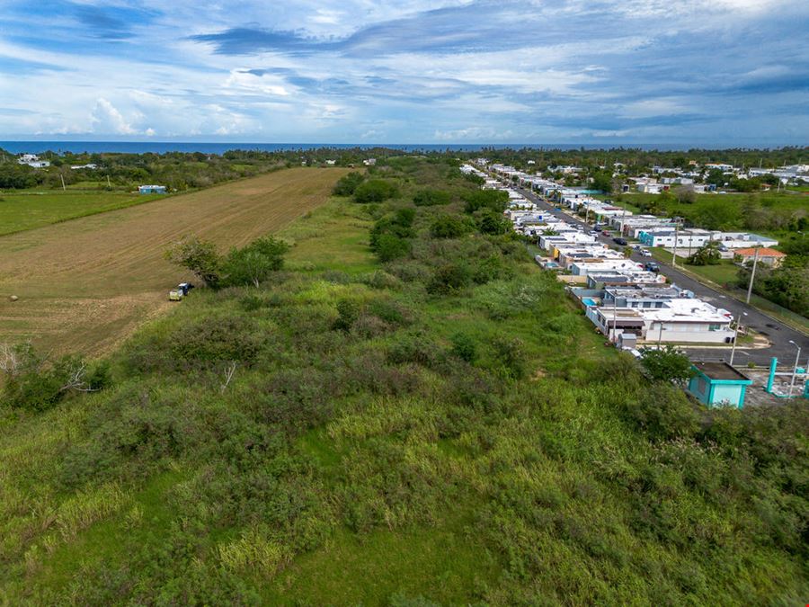 Residential Development Opportunity in Arecibo - 13.65 Acre Land