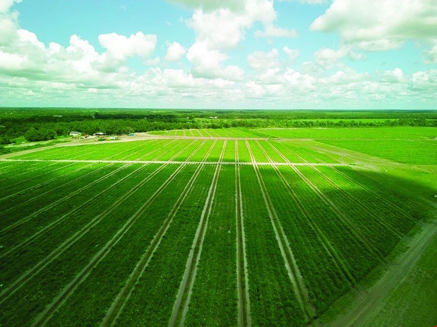 Manatee County Farm Land