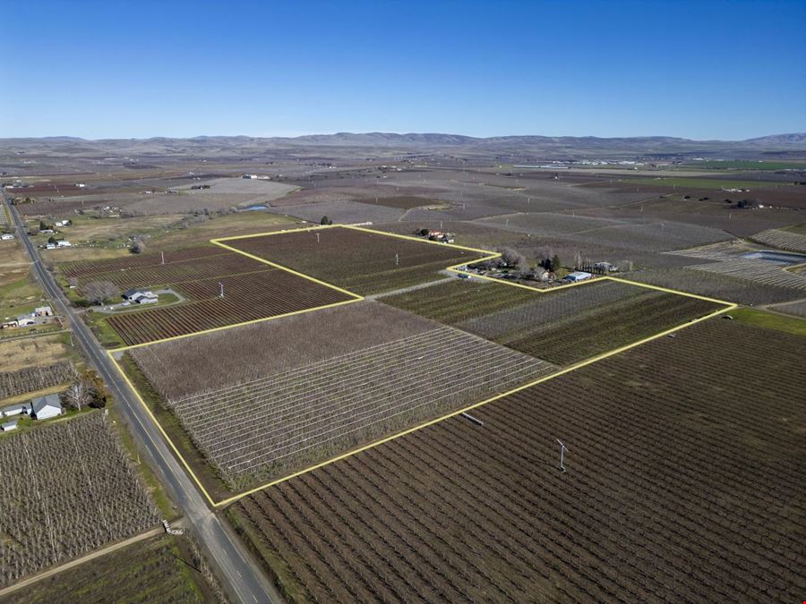 Occidental Orchards