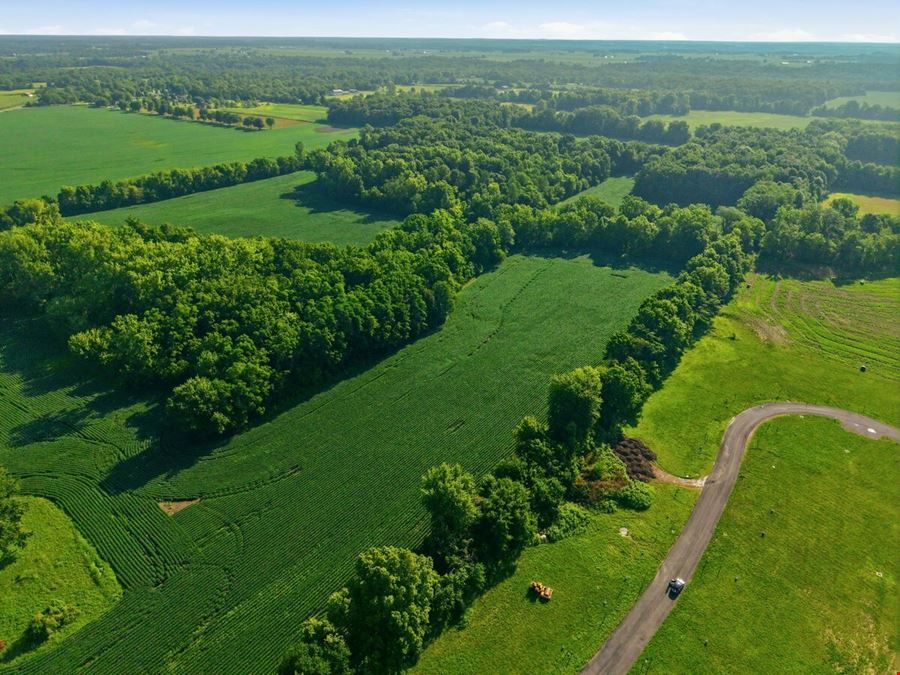 Development Opportunity