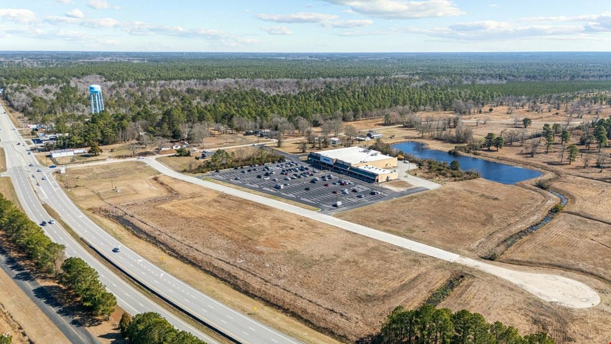 Food Lion Shopping Center Outparcels