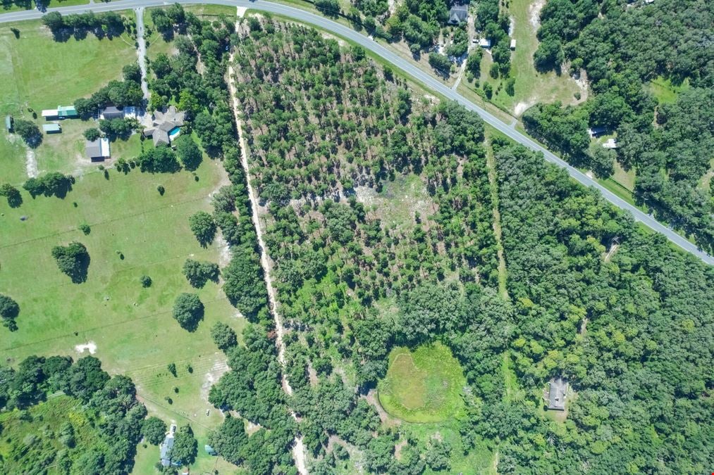 C.R. 439 - 20 Acres