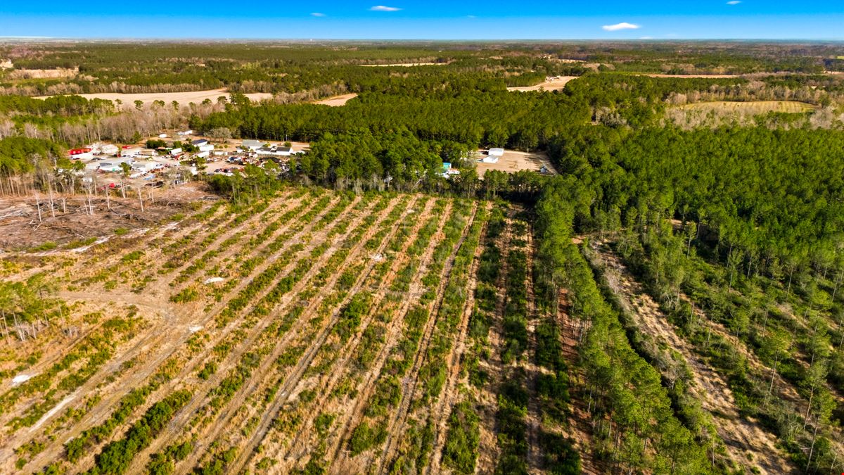 Development Opportunity - 127 Acres, Loris, SC