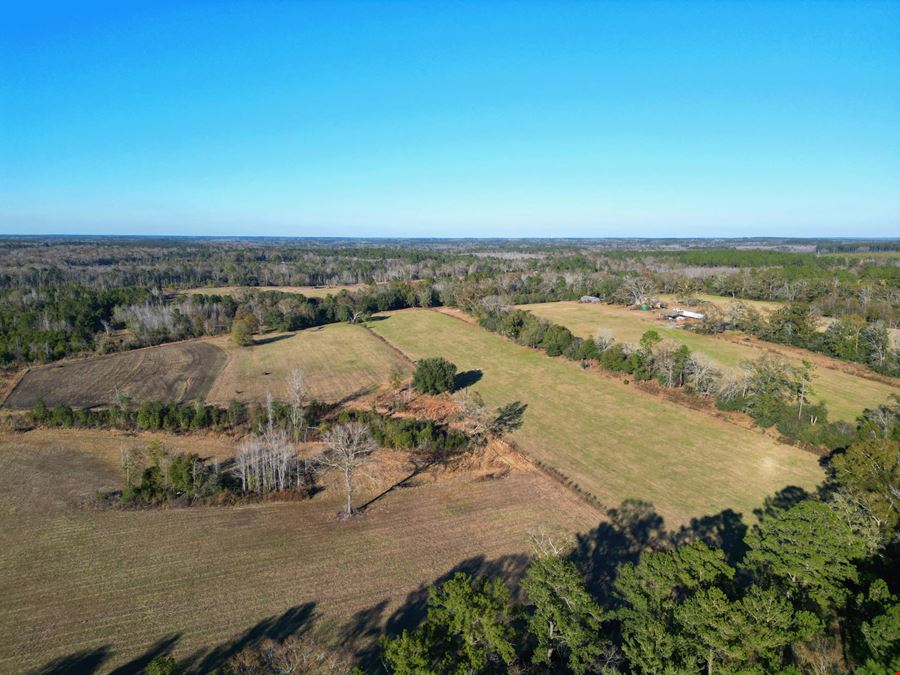 Secluded 240-Acre Cattle Farm in NE Holmes County, FL with Creek, Hunting Opportunities & Nearby Amenities