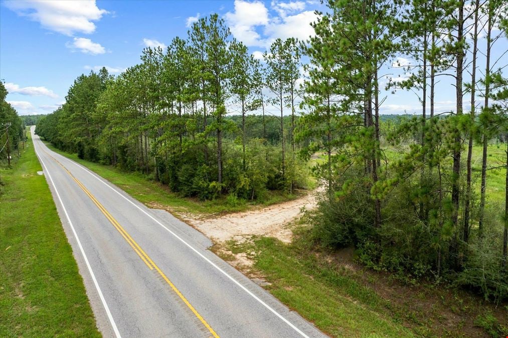 10 Acres - Celeste Rd., Chunchula, AL