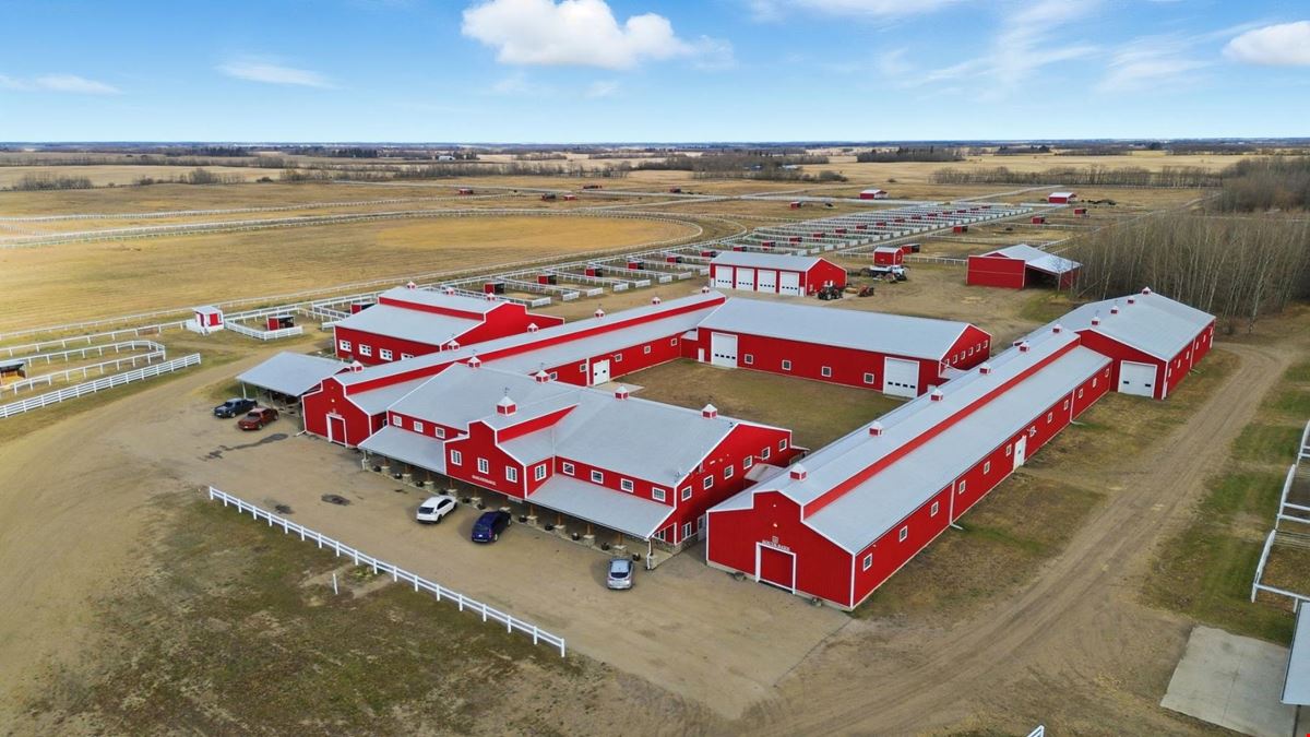 World-Class Equestrian in Central Alberta (Canada)