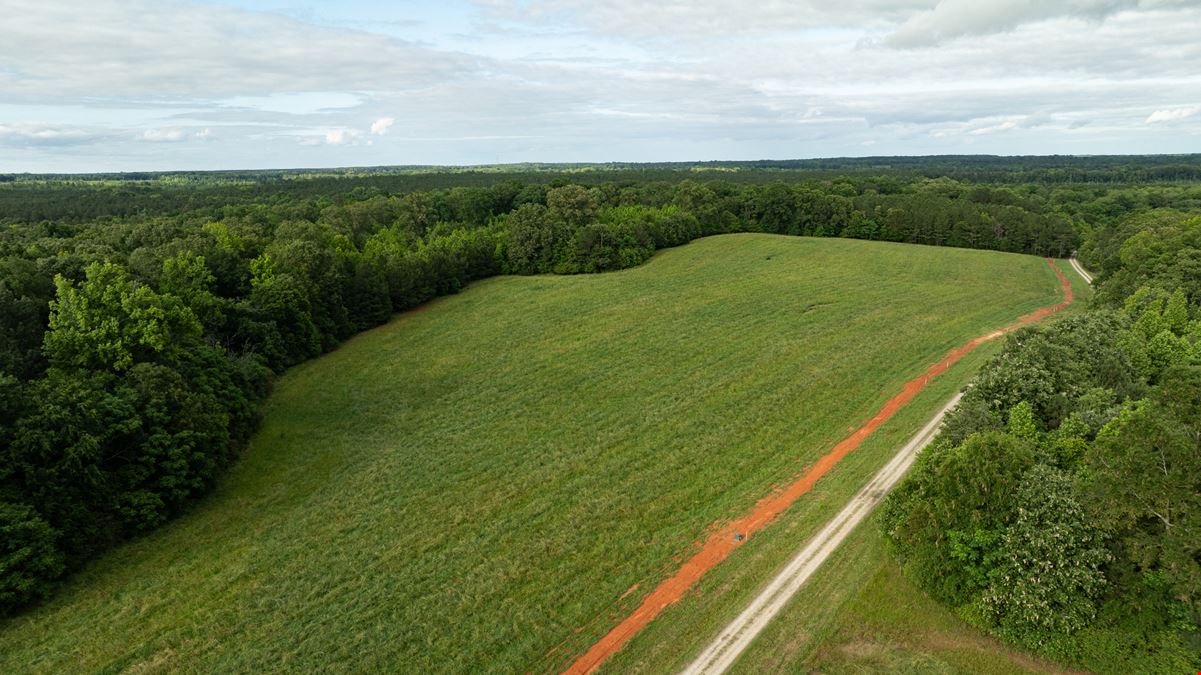 Bush River Ranch | Lots 33-36