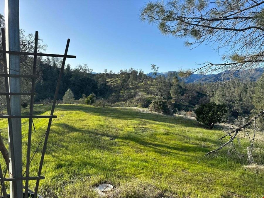±20 Acres of Level Land in Igo, CA