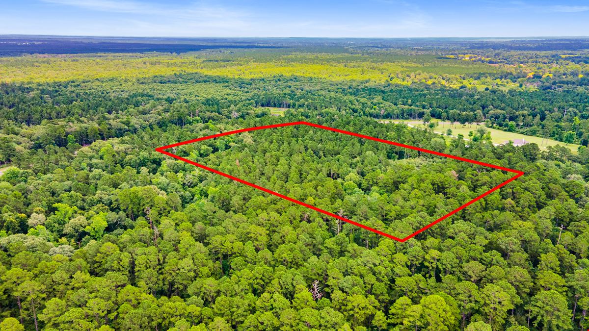 Strategic Land Investment in Trinity