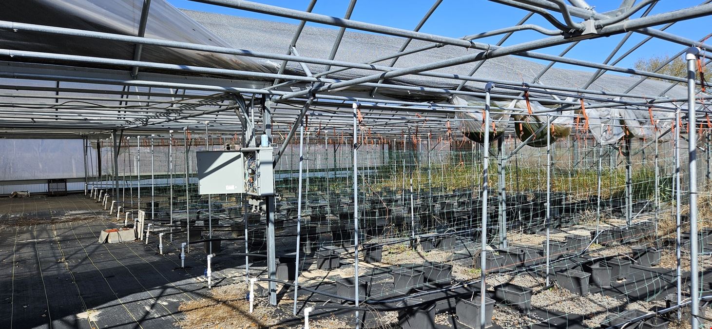 3.25± Acres with 29,000± SF Greenhouses + 2,000± SF Storage/Office (Well, 3-Phase, Near US-27)