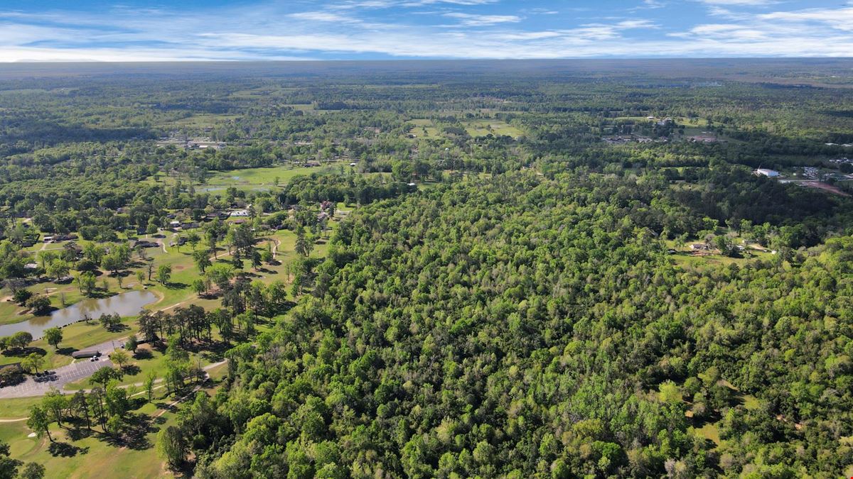 +/- 420 GOLF COURSE FRONTING LAND DEV OPP- 938 Minglewood Road, Liberty, TX 77575