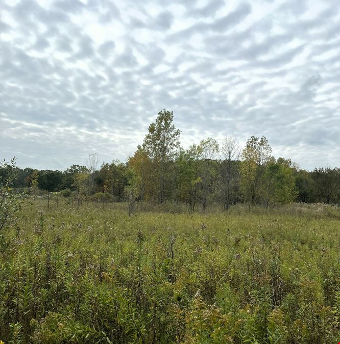 Industrial Vacant Land for Sale in Northfield Twp
