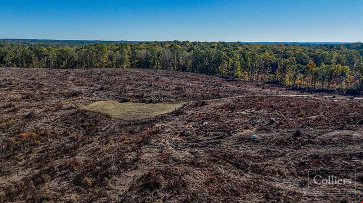 ±116.15-Acre Tract for Sale - 35 Minutes to Downtown Greenville