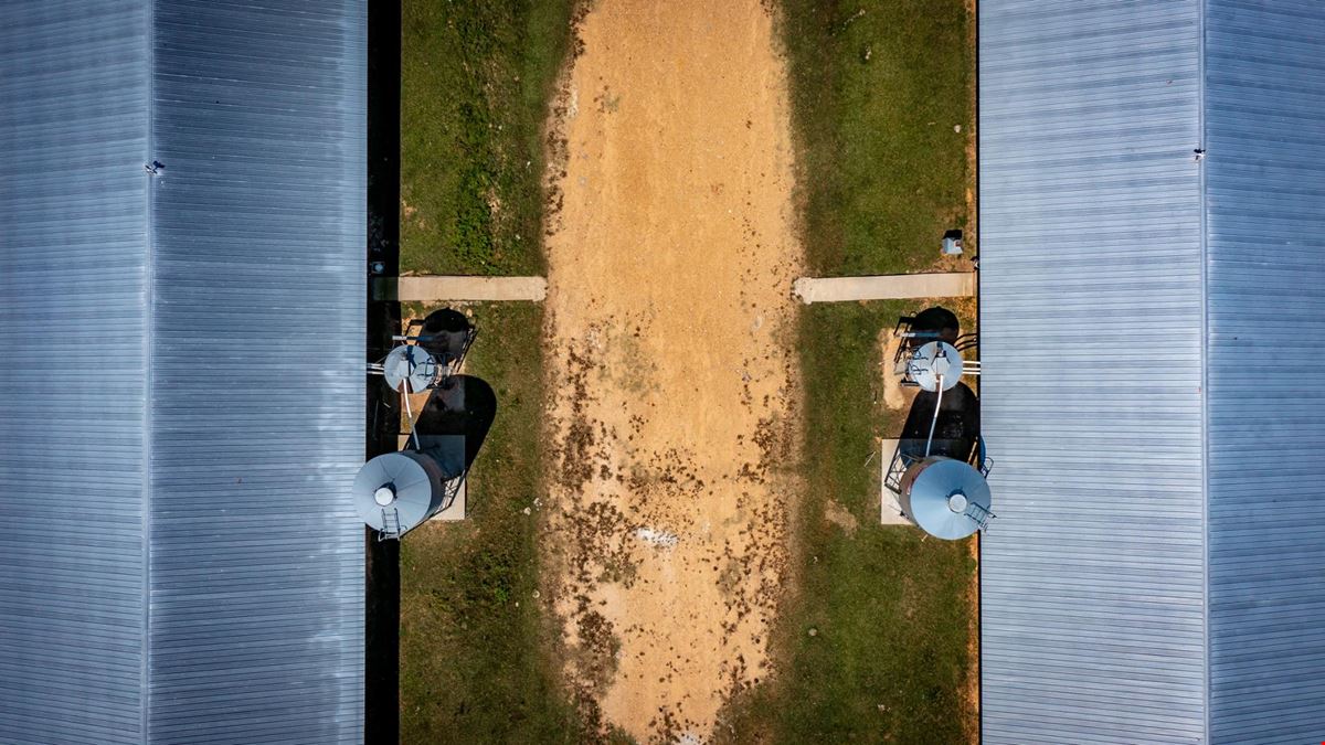 Hope Arkansas Chicken Farm