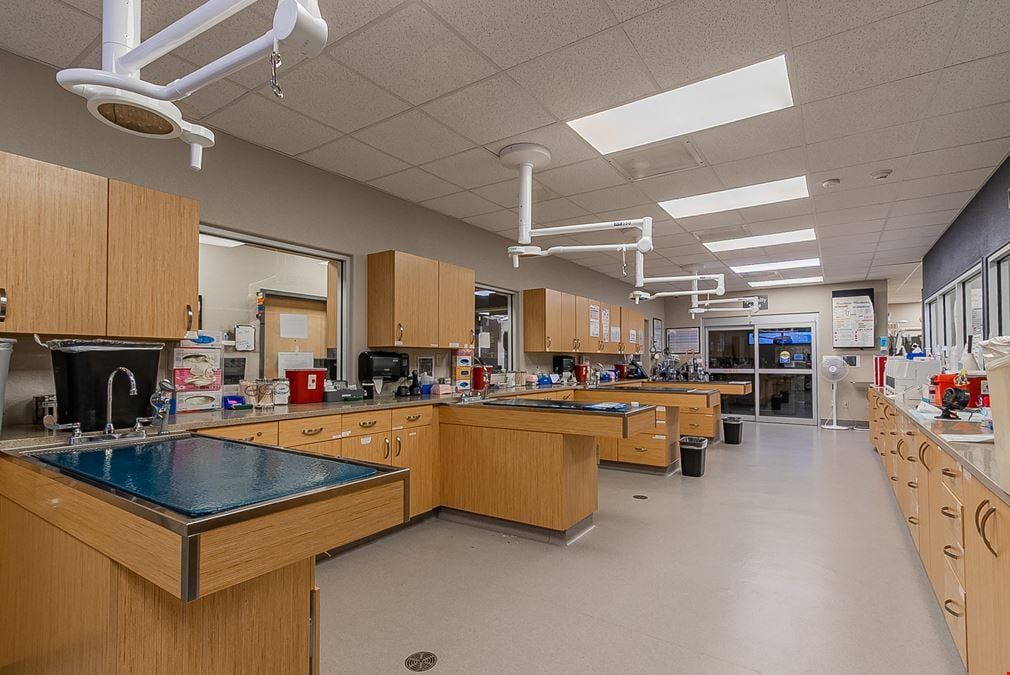 Investment Opportunity- Foothills Animal Hospital, 11769 E South Frontage Rd