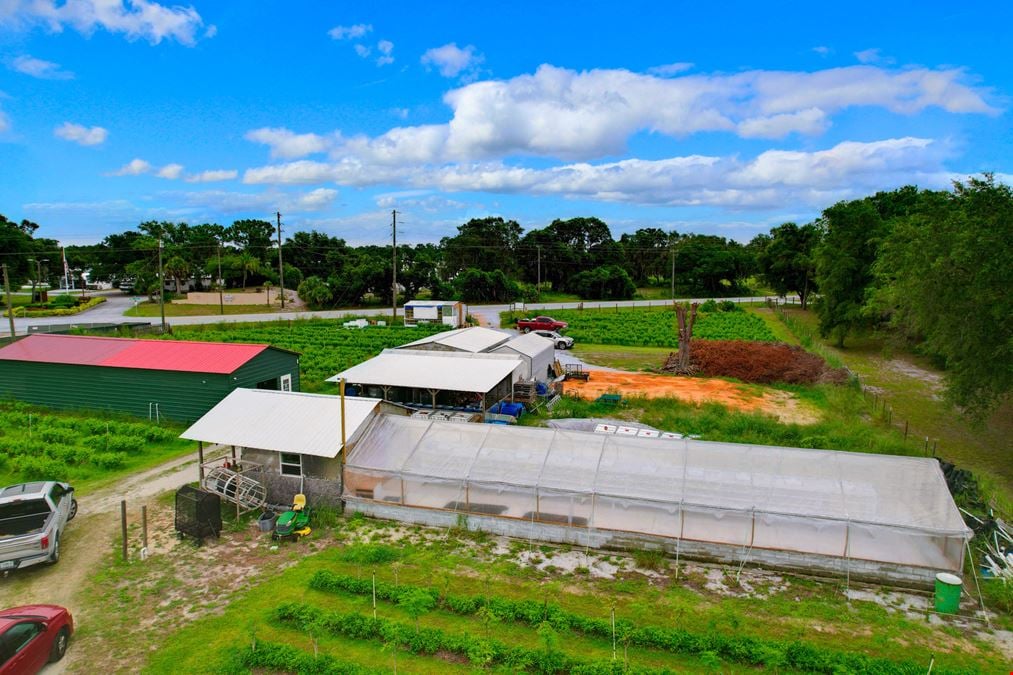 Organic Farm