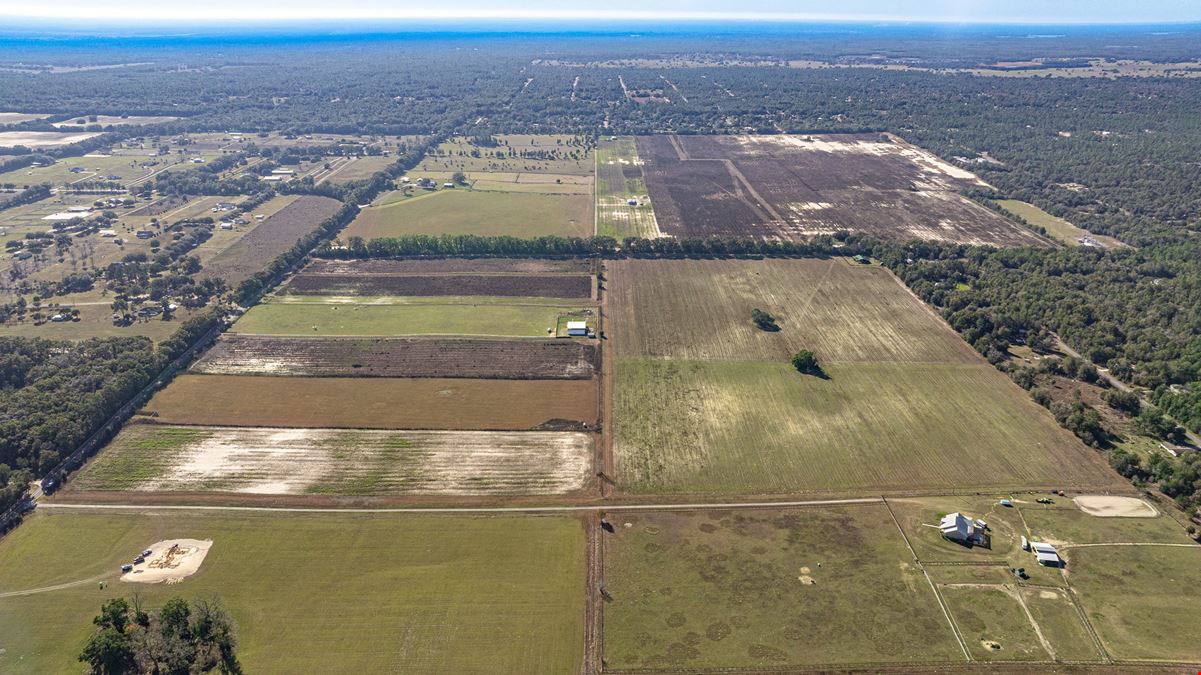Marion County 24 Acre Ranchette and Homesite