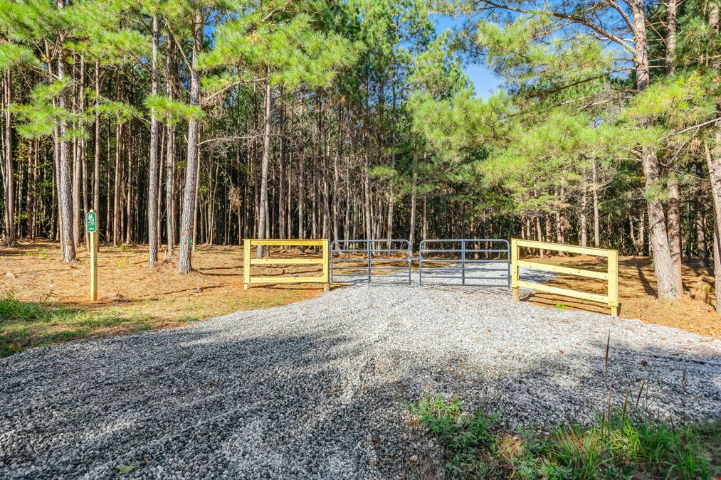 South Pine Farms Lot 19